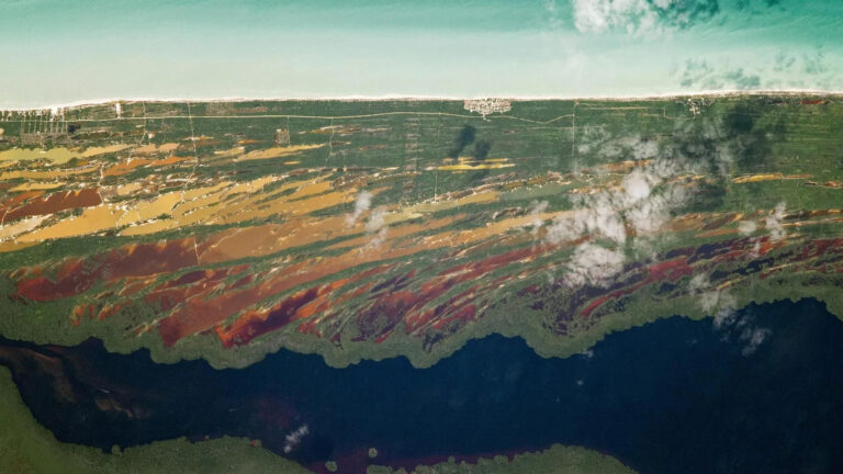 El suelo kárstico de Yucatán: el recurso más frágil (y menos comprendido) del desarrollo inmobiliario