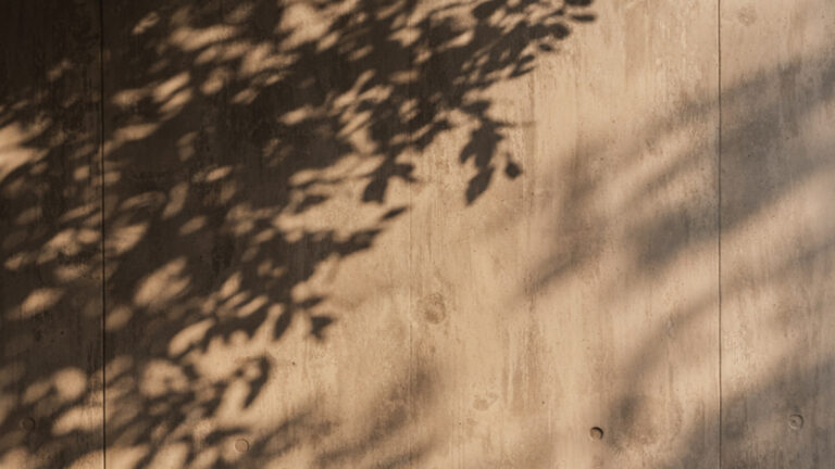 Terral: comunidad residencial boutique en Yucatán para quienes buscan algo distinto